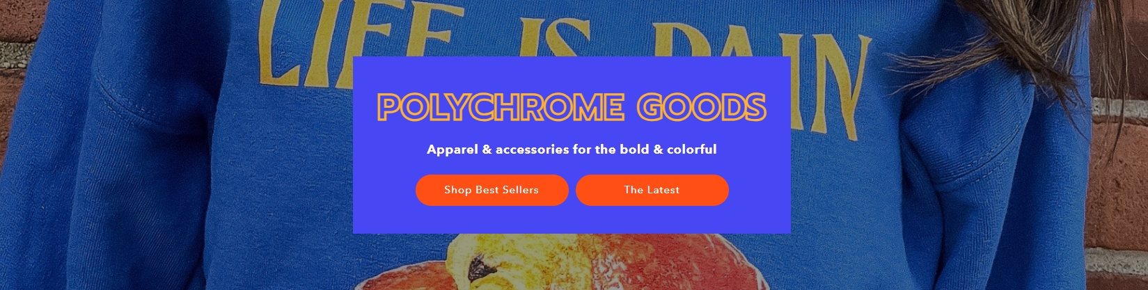 thepolychromegoods.shop banner